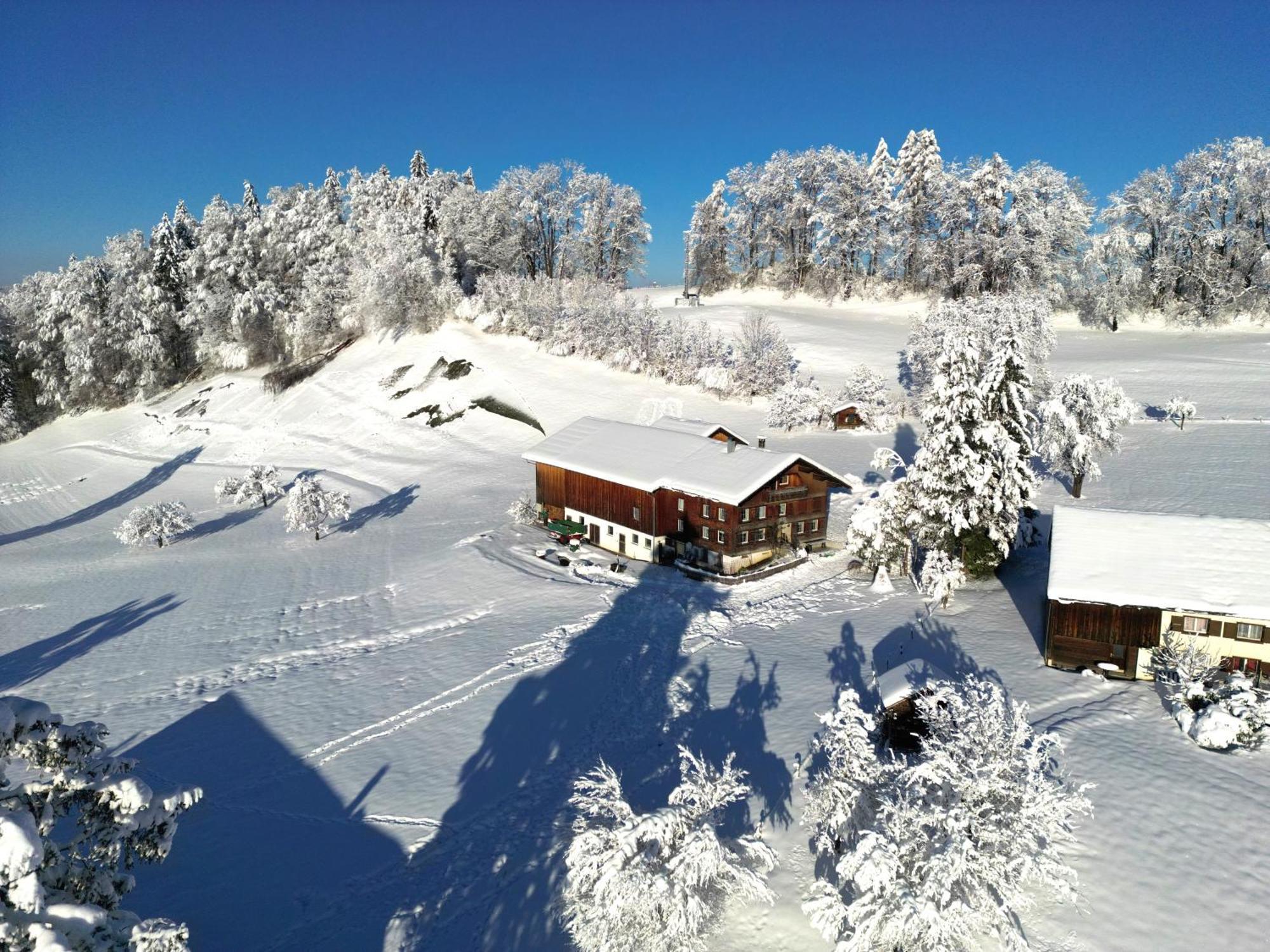 Bergoase Hohenegg Villa Lingenau Kültér fotó