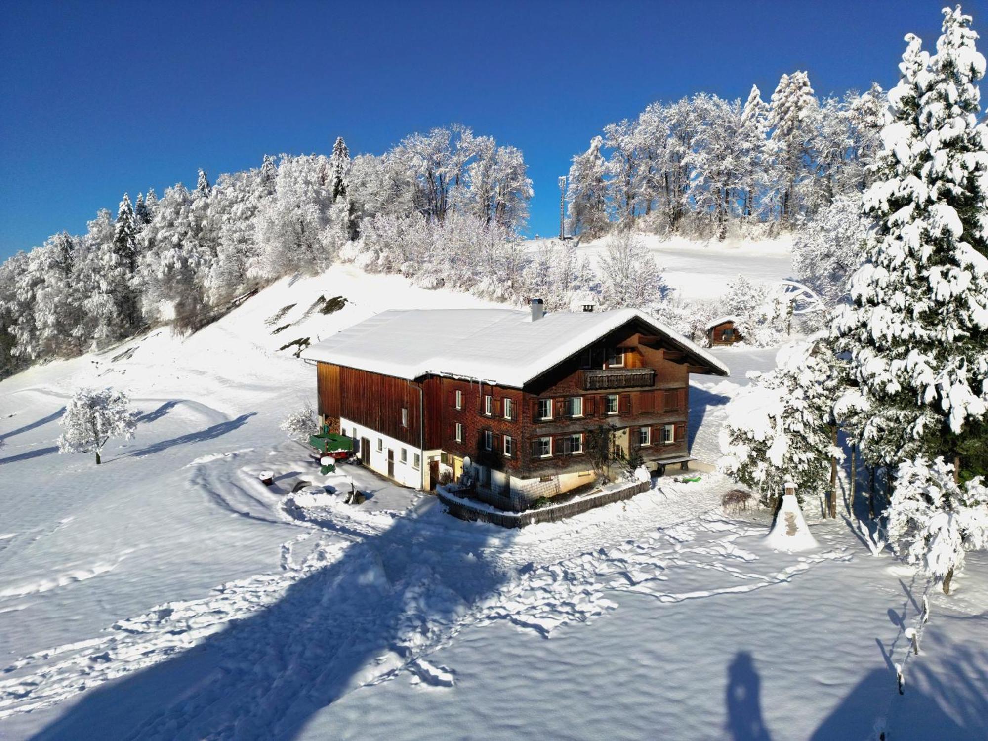 Bergoase Hohenegg Villa Lingenau Kültér fotó